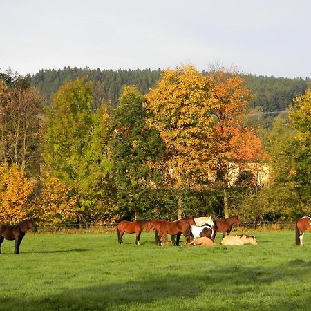 Lidmiluv Mlyn Otel Sadek Dış mekan fotoğraf