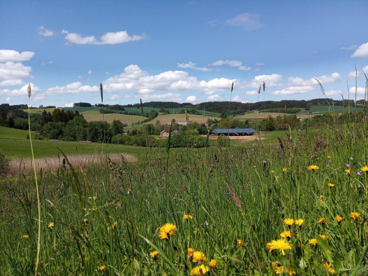 Lidmiluv Mlyn Otel Sadek Dış mekan fotoğraf