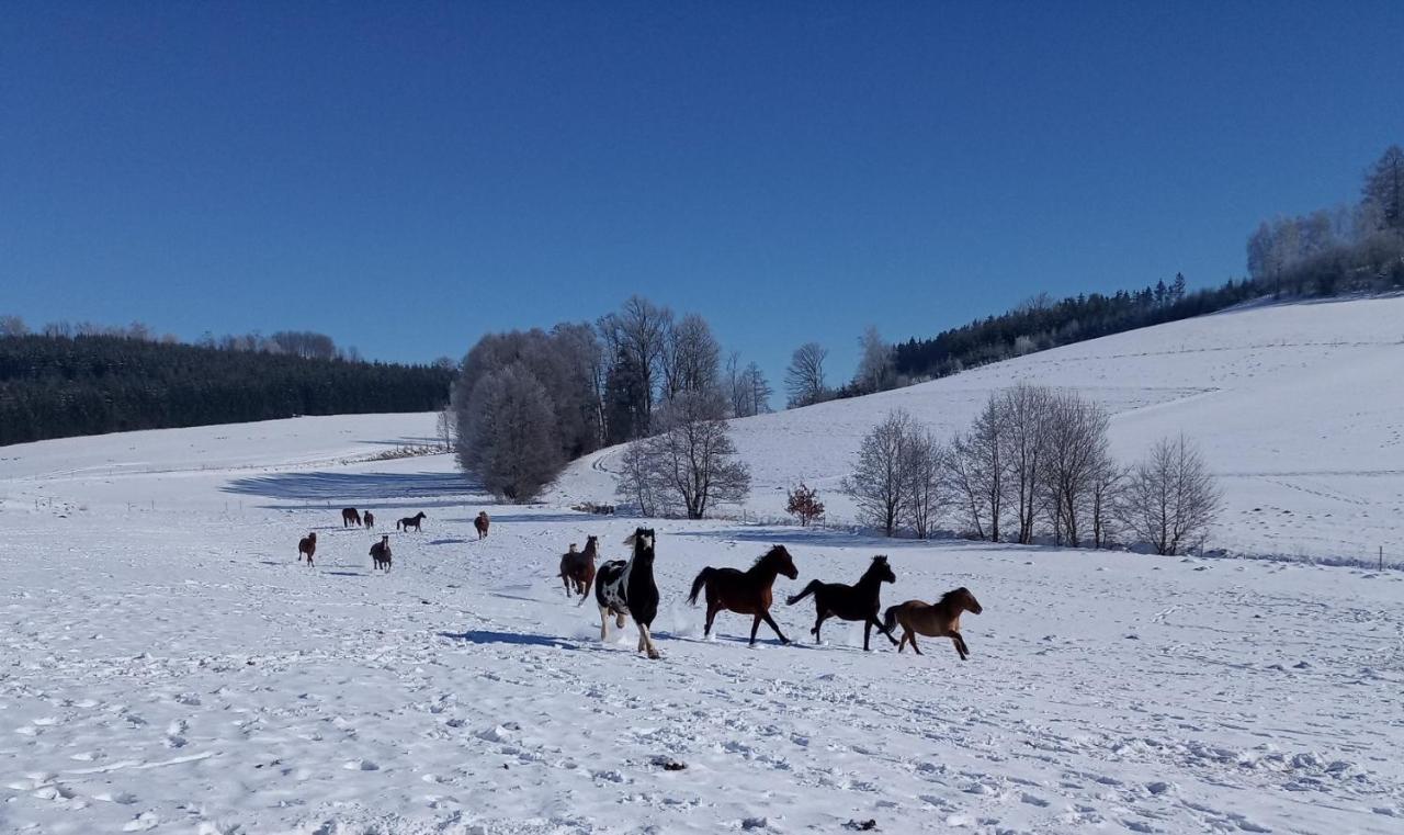 Lidmiluv Mlyn Otel Sadek Dış mekan fotoğraf